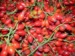 Blütenduft und Kräuterzauber im Herbst ©      