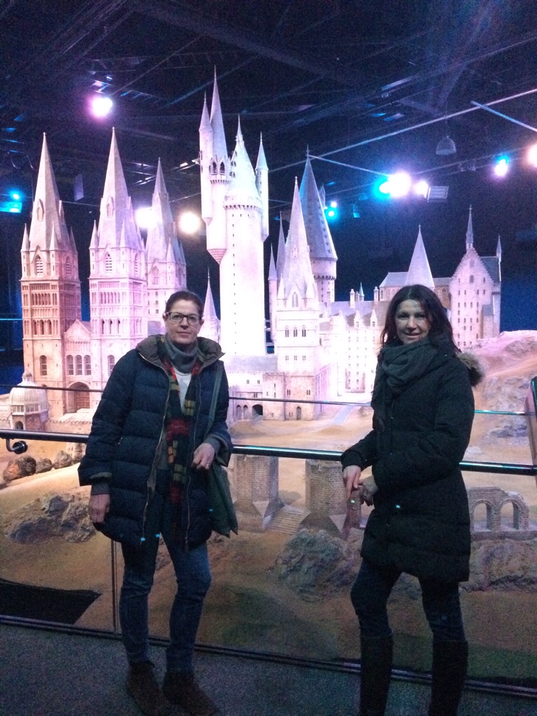 Harry Potter Harry Potter