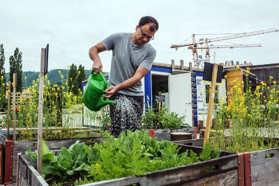 neue grüne Möglichkeiten in der Stadt © Johanna Bonsels neue grüne Möglichkeiten in der Stadt © Johanna Bonsels