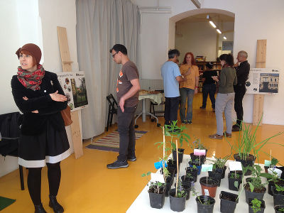Pflanzentauschbörse und Vorgartenausstellung © Daniela Zeschko Pflanzentauschbörse und Vorgartenausstellung © Daniela Zeschko