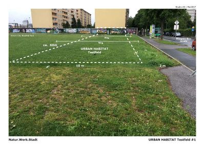 Testfeld in Waagner Biro © Andreas Goritschnig Testfeld in Waagner Biro © Andreas Goritschnig