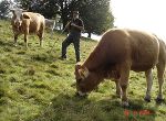 Almerlebniswanderung