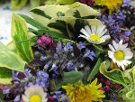 Floraler Frühlingsgruß