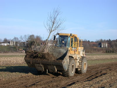 Je größer die Maschine, desto größer der Erfolg bei der Verpflanzung. © Ulf Jost Je größer die Maschine, desto größer der Erfolg bei der Verpflanzung. © Ulf Jost