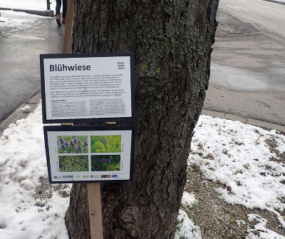 Informationstafeln zu den Blühwiesenflächen in der Waagner-Biro-Straße © Ulrike Murnig Informationstafeln zu den Blühwiesenflächen in der Waagner-Biro-Straße © Ulrike Murnig