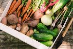 Fitness durch gesunde Ernährung Fitness durch gesunde Ernährung