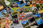 Wunder der Natur Wunder der Natur