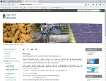 Energie