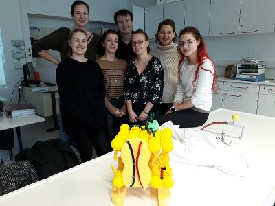 Die fleissige Arbeitsgruppe © LBS Graz 2 Die fleissige Arbeitsgruppe © LBS Graz 2