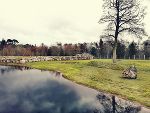 Wildlife Park © Que Wildlife Park © Que