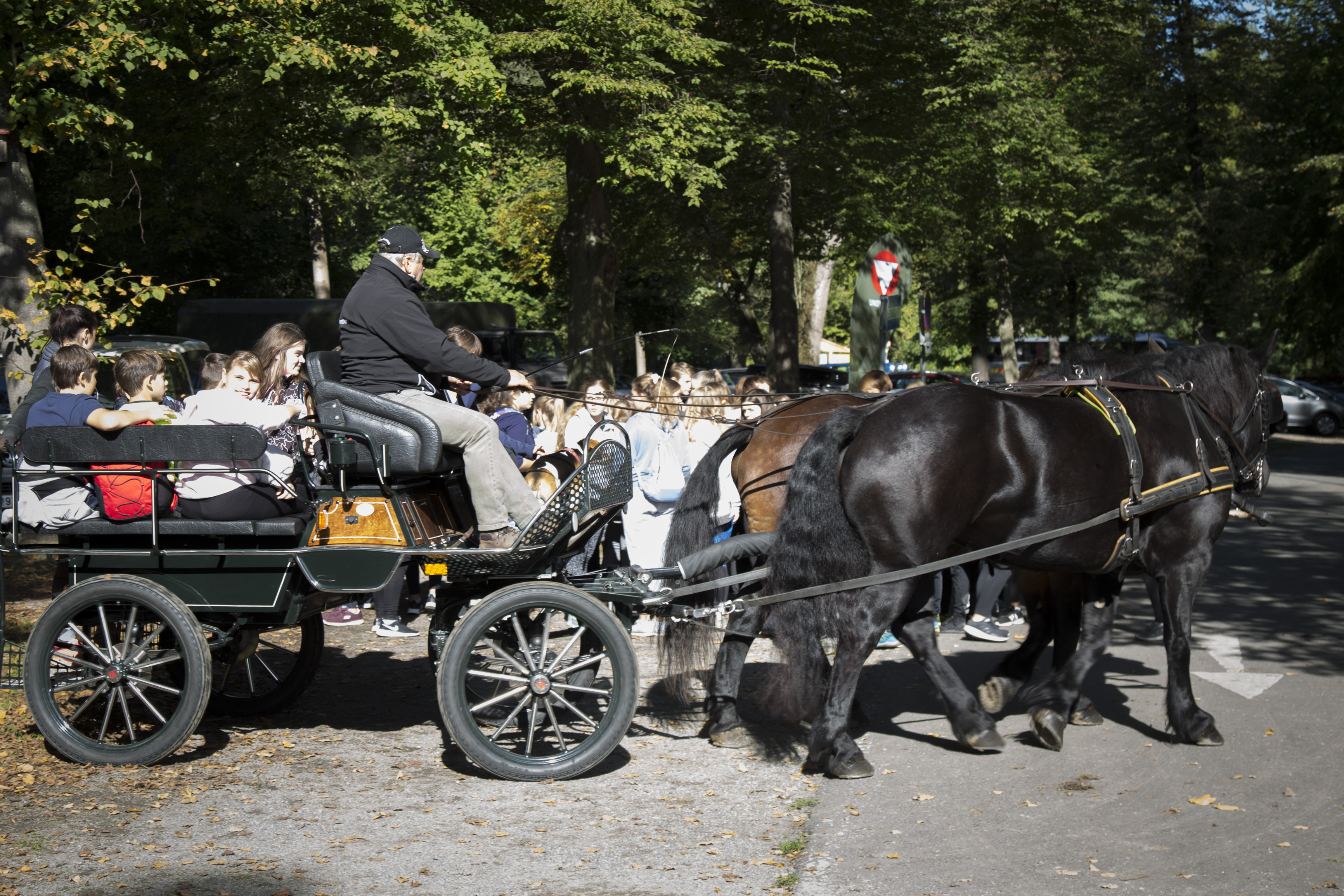 Schulsporttag 2019