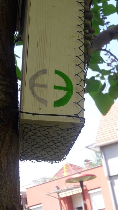Das Seebacher Logo © Gabriele Arnberger Das Seebacher Logo © Gabriele Arnberger