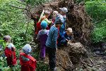 Walderlebnisspaziergang für Klein und Groß © Michaela Kober Walderlebnisspaziergang für Klein und Groß