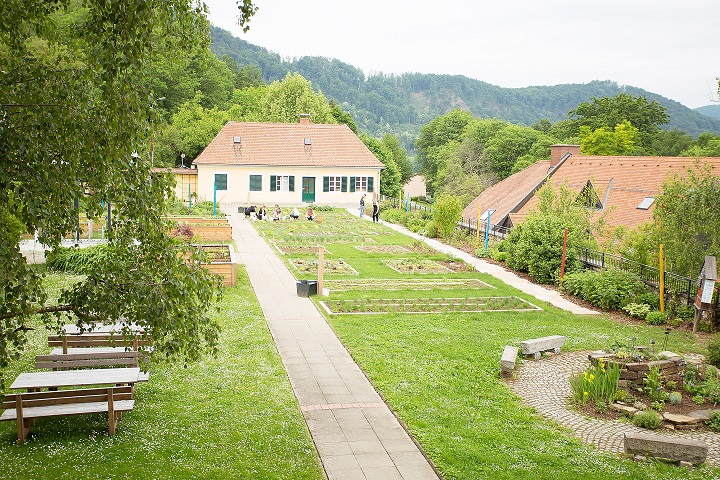 Schulgarten Schulgarten
