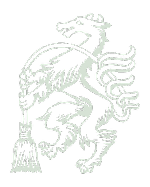 Besenpanther © A14 Besenpanther © A14