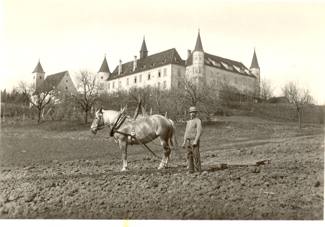 Landwirtschaft 