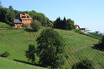Kehlberger Weinberge © Manfred Klimek