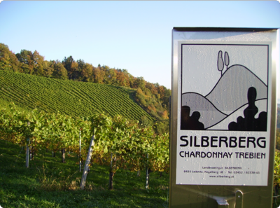 Weinhänge Weinhänge
