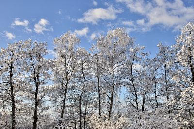 Winterimpression © Kober-Murg Winterimpression
