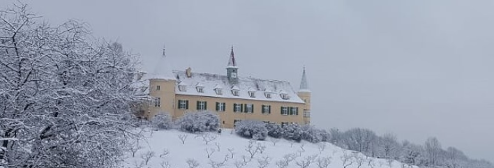 Winterlandschaft Schloss St. Martin