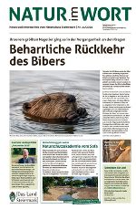 Ausgabe 11/2020