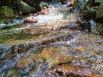 Ein Wildbach in der Natur