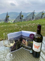Vom Schloss zum Wein © Falter-ego Grazer Stadtwein Vom Schloss zum Wein