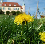 Blütenduft und Kräuterzauber © St. Martin Blütenduft und Kräuterzauber