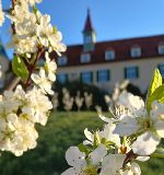 Frühling