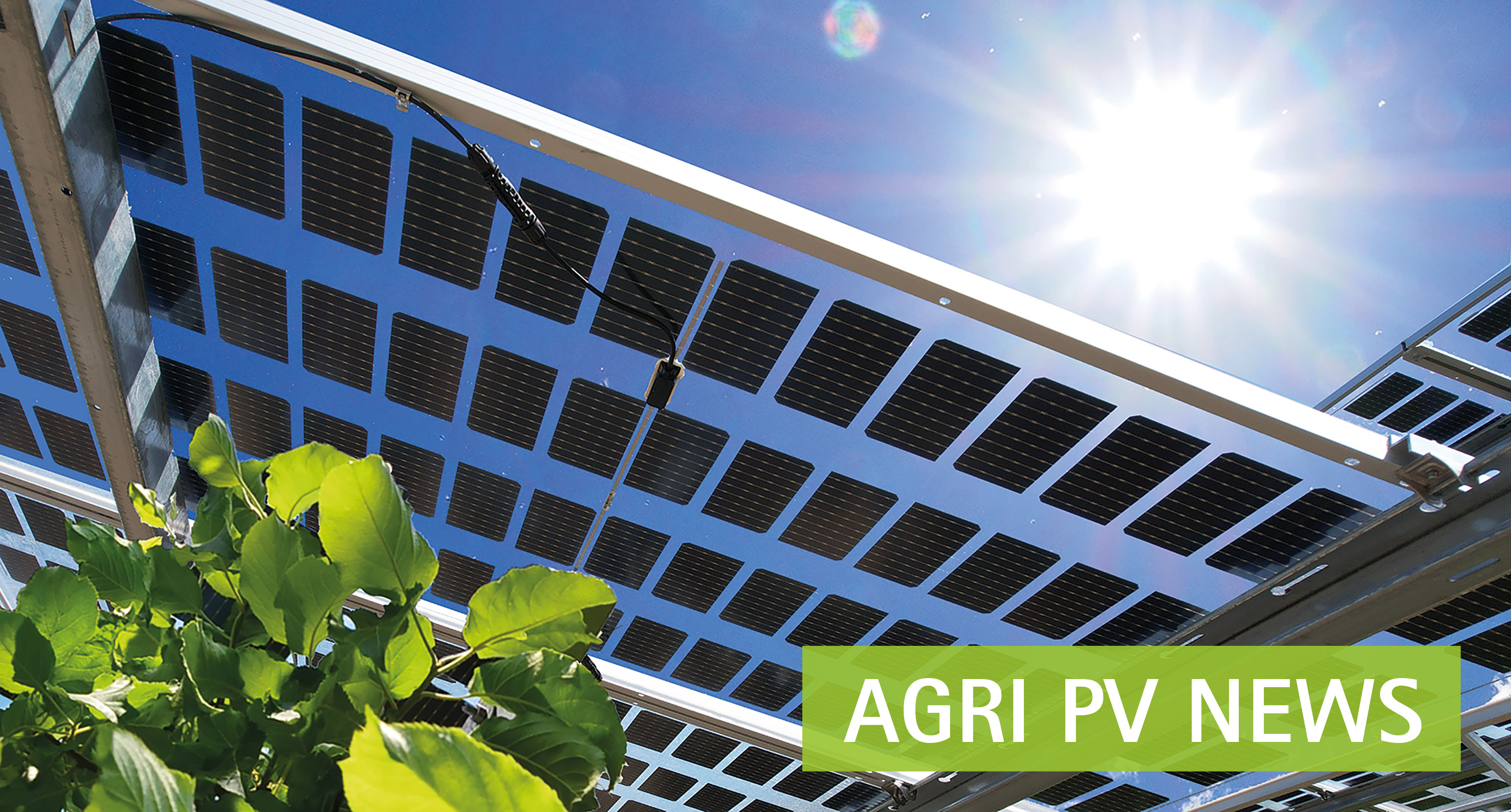 Abgebildet ist eine Photovoltaikanlage über Obstbäumen
