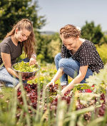 Tag der Schöpfungsverantwortung © Sabrina Kunasek Tag der Schöpfungsverantwortung