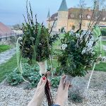 Palmbuschen © St. Martin