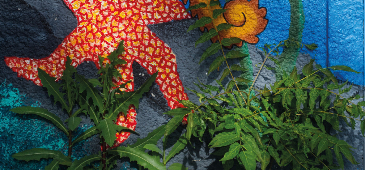 Urbane Biotope