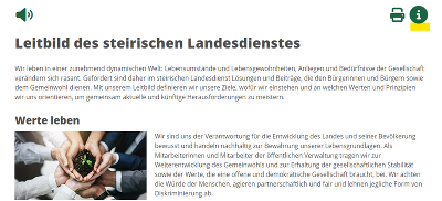 Beispiel Icon "Weitere Informationen"