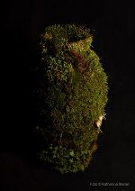 Kunst © Katharina Steirer