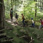 Wald erleben