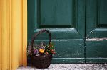 Ein bunter Blumenkorb mit Kürbis steht vor einer grünen Holztür neben einer gelben Wand.  © vecteezy.com)